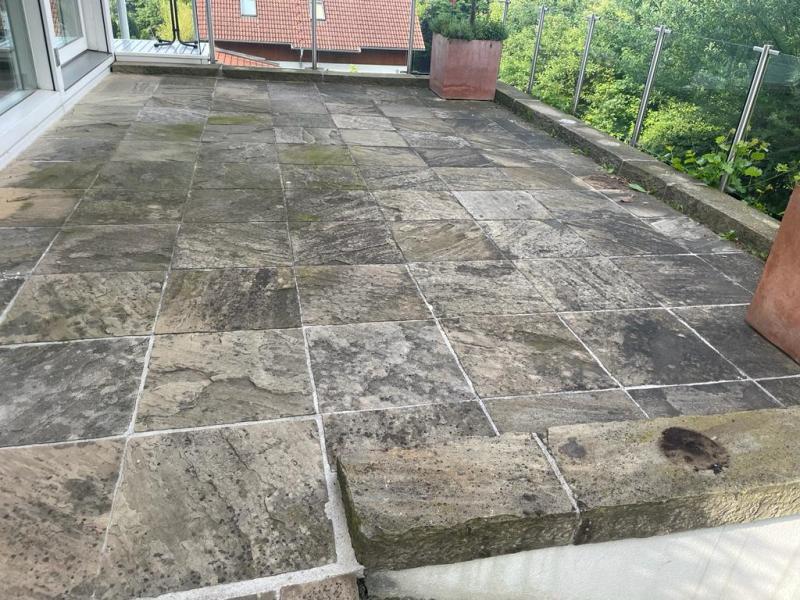 - die Steinreinigung vom Profi