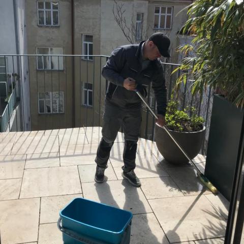 - die Steinreinigung vom Profi