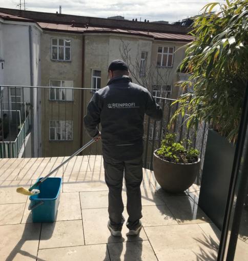 - die Steinreinigung vom Profi