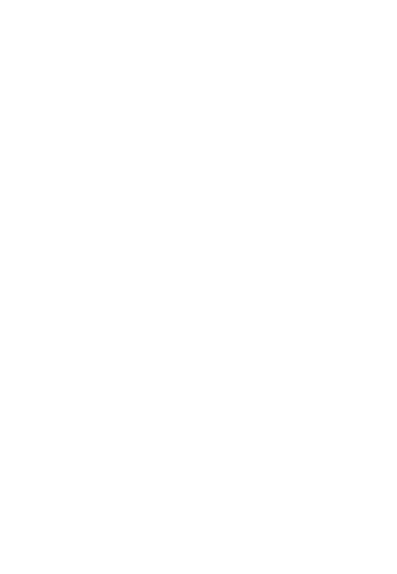 - die Steinreinigung vom Profi